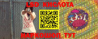 гидра Кулебаки
