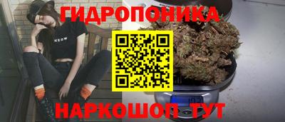 гидра Кулебаки