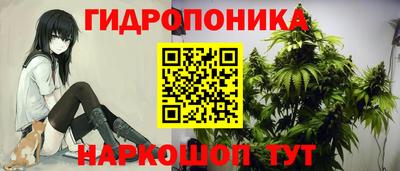 ALPHA-PVP Кунгур