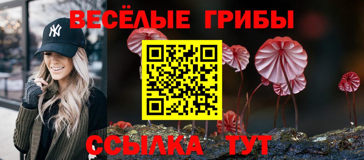 Псилоцибиновые грибы Magic Shrooms Ефремов
